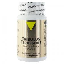 TRIBULUS TERRESTRIS 300 MG VIT'ALL+